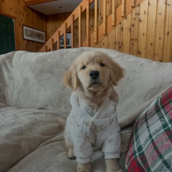 COMFRT PAWS CAMO DOG HOODIE - Picture 10 of 16